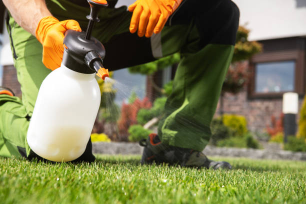 Best Best Pest Control Companies  in Crown Heights, NY