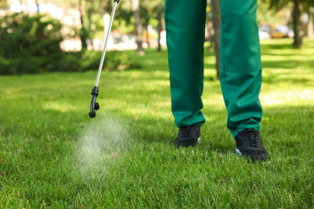 Best Pest Removal Services  in Crown Heights, NY
