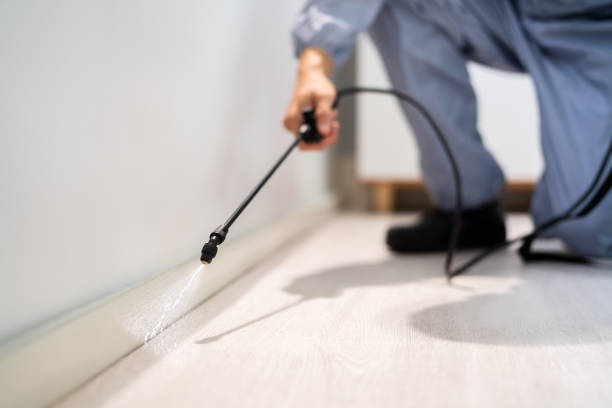Professional Pest Control in Crown Heights, NY