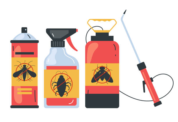 Wasp Removal Services in Crown Heights, NY