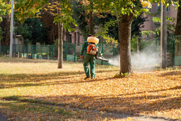 Best Local Pest Control Services  in Crown Heights, NY