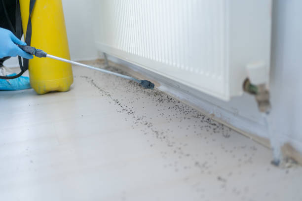  Crown Heights, NY Pest Control Pros