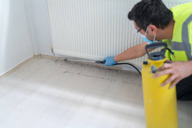 Best Pest Prevention Services  in Crown Heights, NY