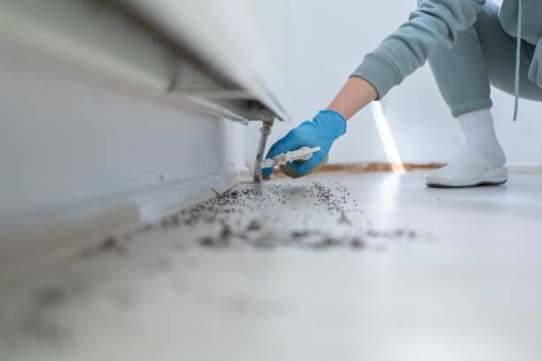 Best Exterminator Services  in Crown Heights, NY