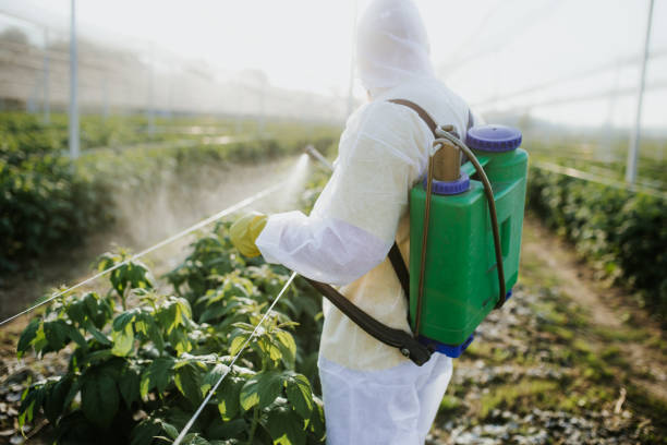 Best Pest Control Near Me  in Crown Heights, NY